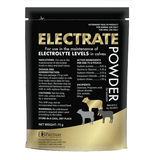 Electrate Powder - 12/case