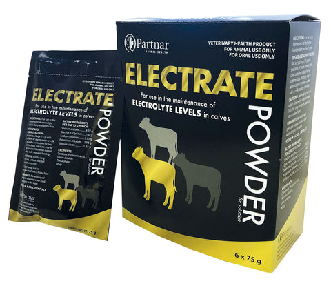 Electrate Powder - 12/case