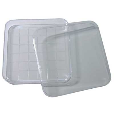 Square Dish with Lid Gridded 10/pk